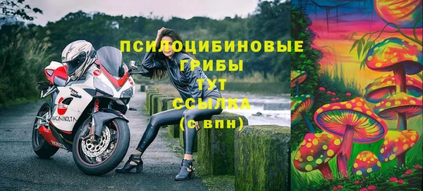 трава Дмитриев