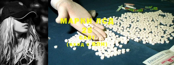 PSILOCYBIN Абаза