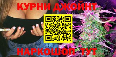 мдпв Дубна