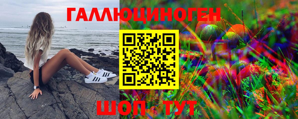 Псилоцибиновые грибы Psilocybe Миллерово