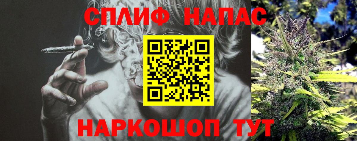 Конопля SATIVA & INDICA  Канабис план  МАРИХУАНА конопля  Миллерово  Вход с VPN 